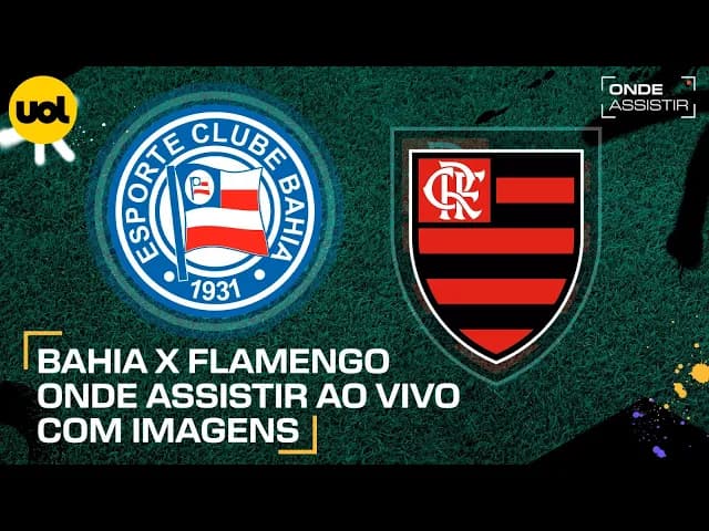 Bahia x Flamengo: transmissão ao vivo e onde assistir ao jogo
