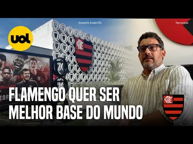 Flamengo projeta 'melhor base do mundo' e sonha em ter até futsal no Ninho