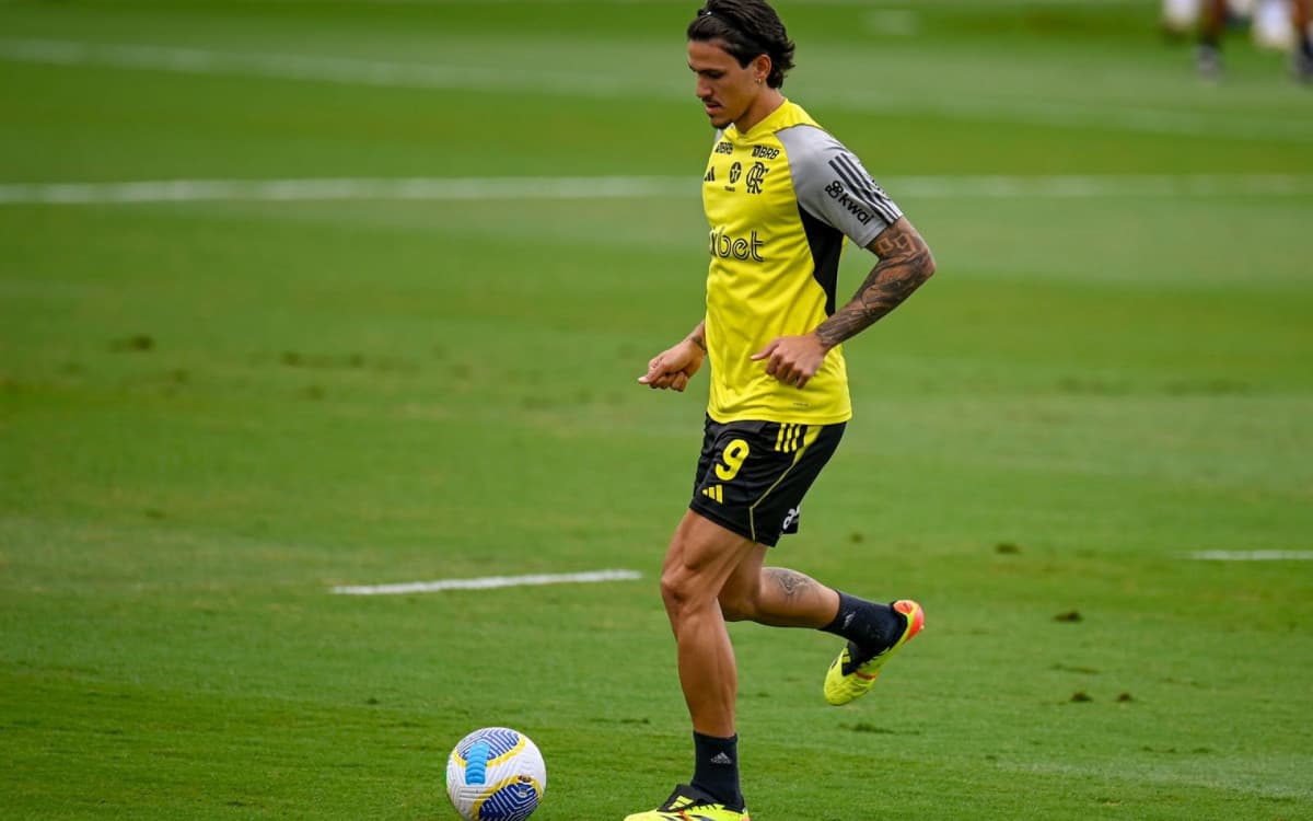 Em quatro meses e meio, Pedro iguala números da temporada de 2021