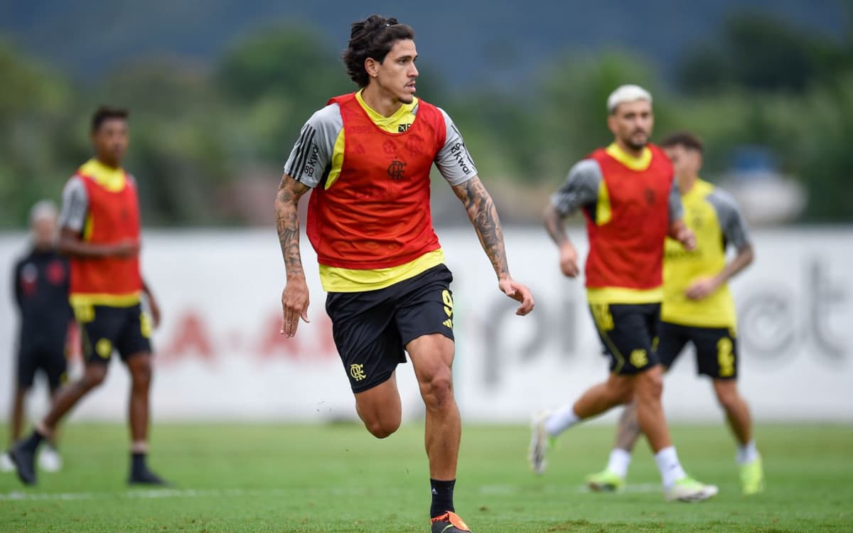 Média de gols de Pedro na temporada é superior a de Gabigol em 2019