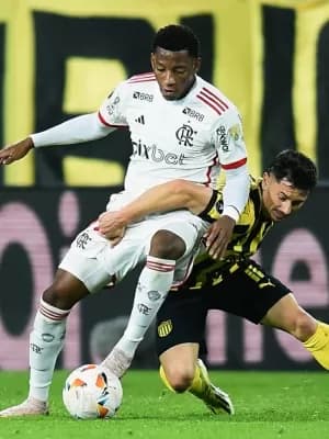 ESPN alcança mais de 3 milhões com quartas de final da Libertadores