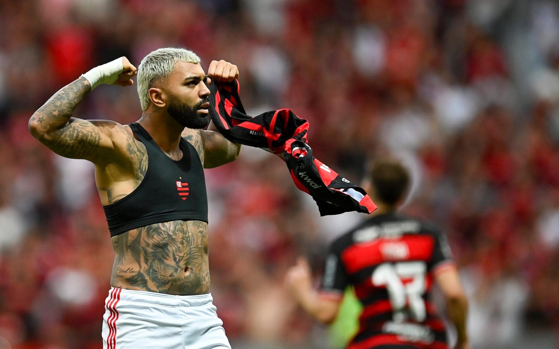 Flamengo x Criciúma: torcedor flagra momento em que bola é atirada ao campo