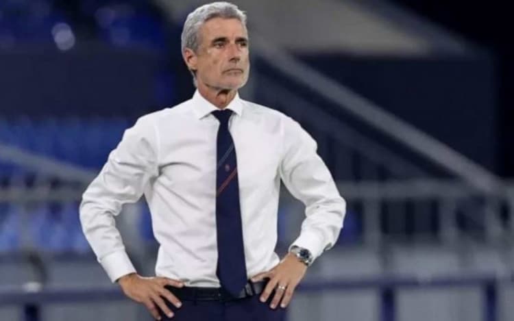 Ex-Botafogo, Luís Castro nega que recebeu proposta do Flamengo