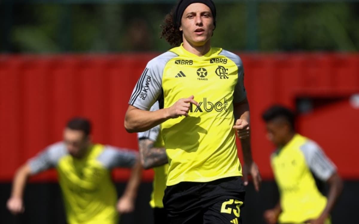 Em boa fase, David Luiz pode deixar o Flamengo de graça em 2025