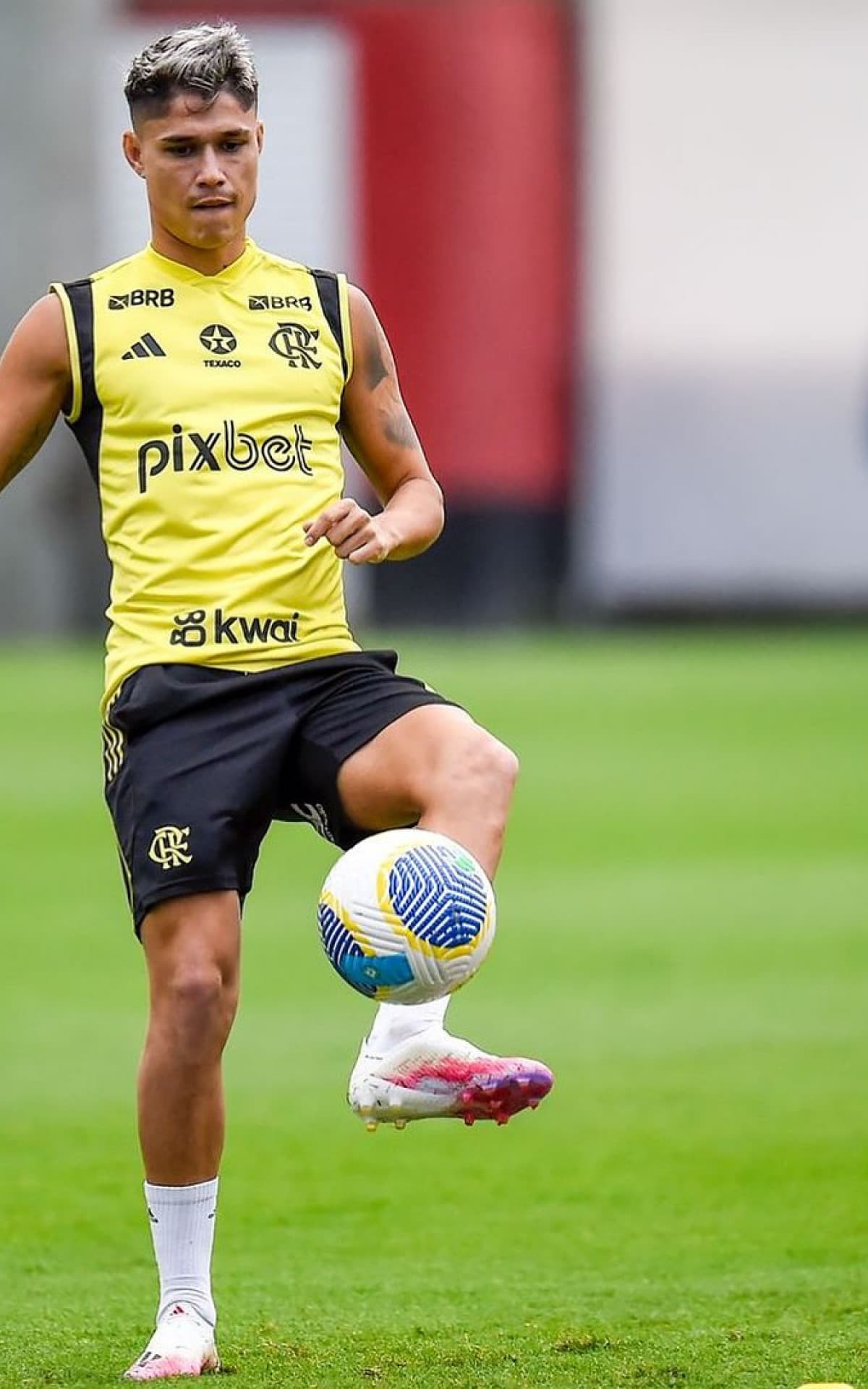 Em meio aos problemas físicos, Luiz Araújo ganha espaço e se destaca no Flamengo